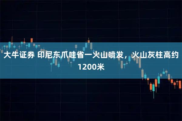 大牛证券 印尼东爪哇省一火山喷发，火山灰柱高约1200米